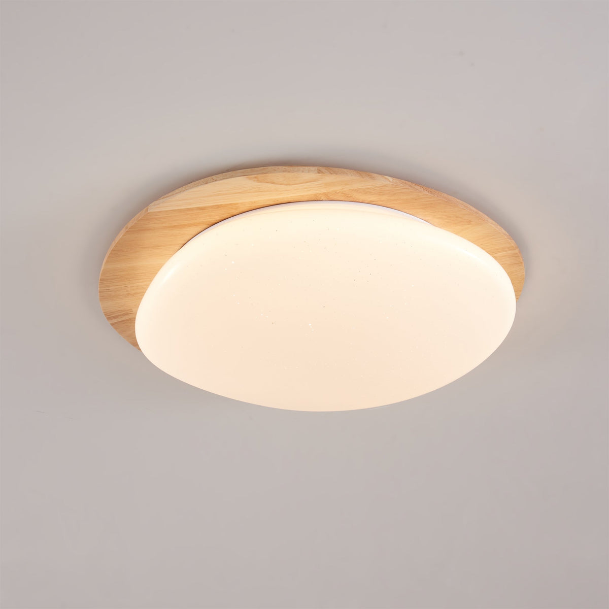 Emburn Oval Ceiling Light