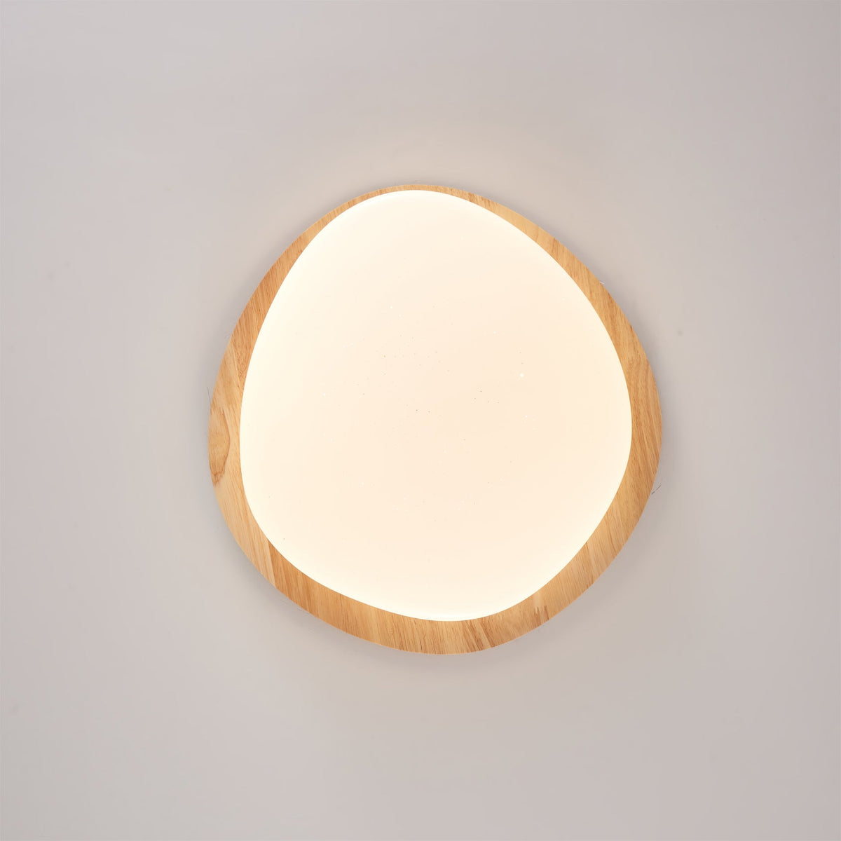 Emburn Oval Ceiling Light