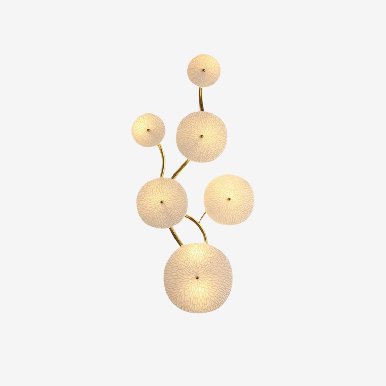 Verroburn Petal Wall Light