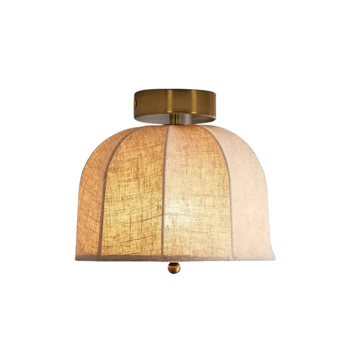 Paxvelar Ceiling Light