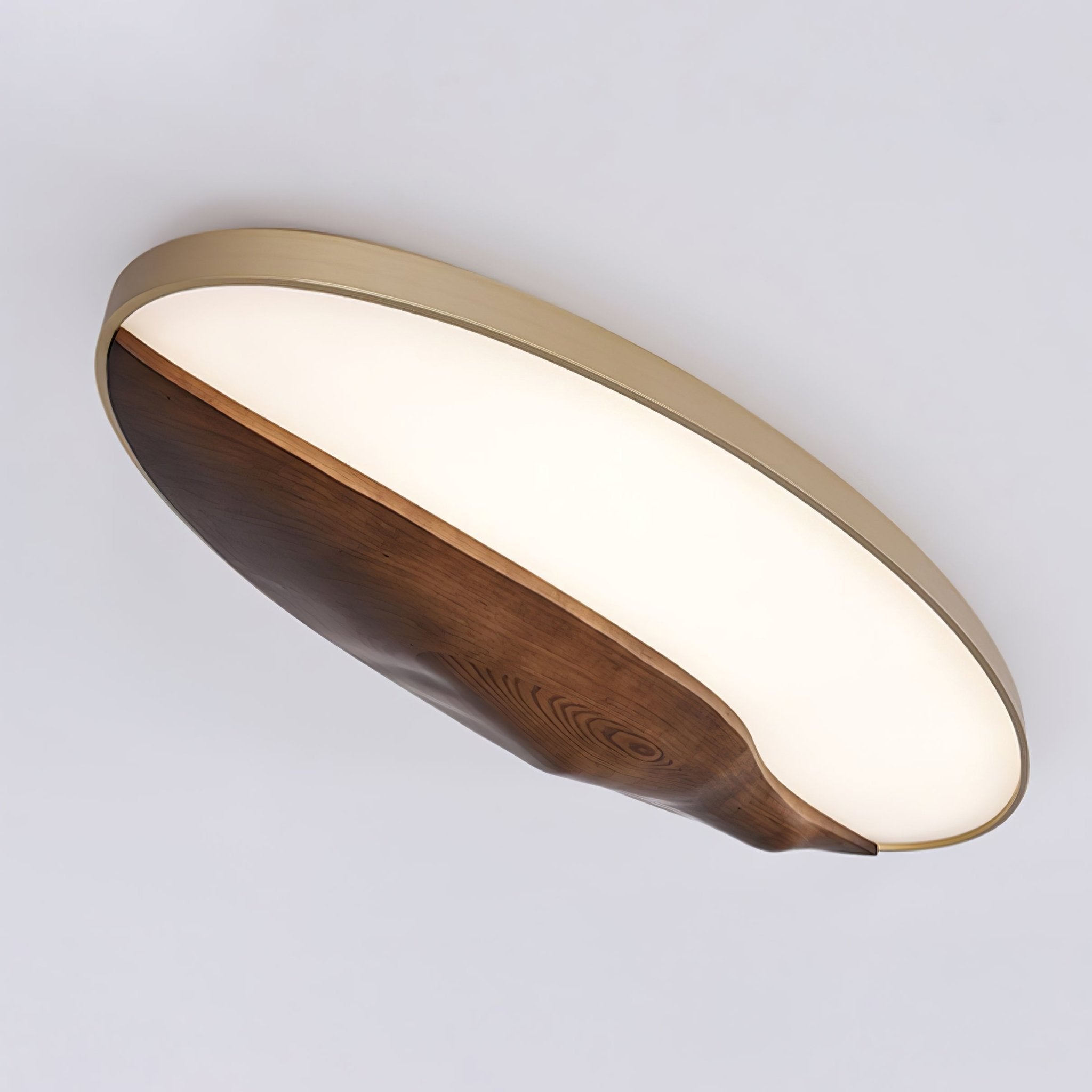 Geo Landscape Ceiling Light