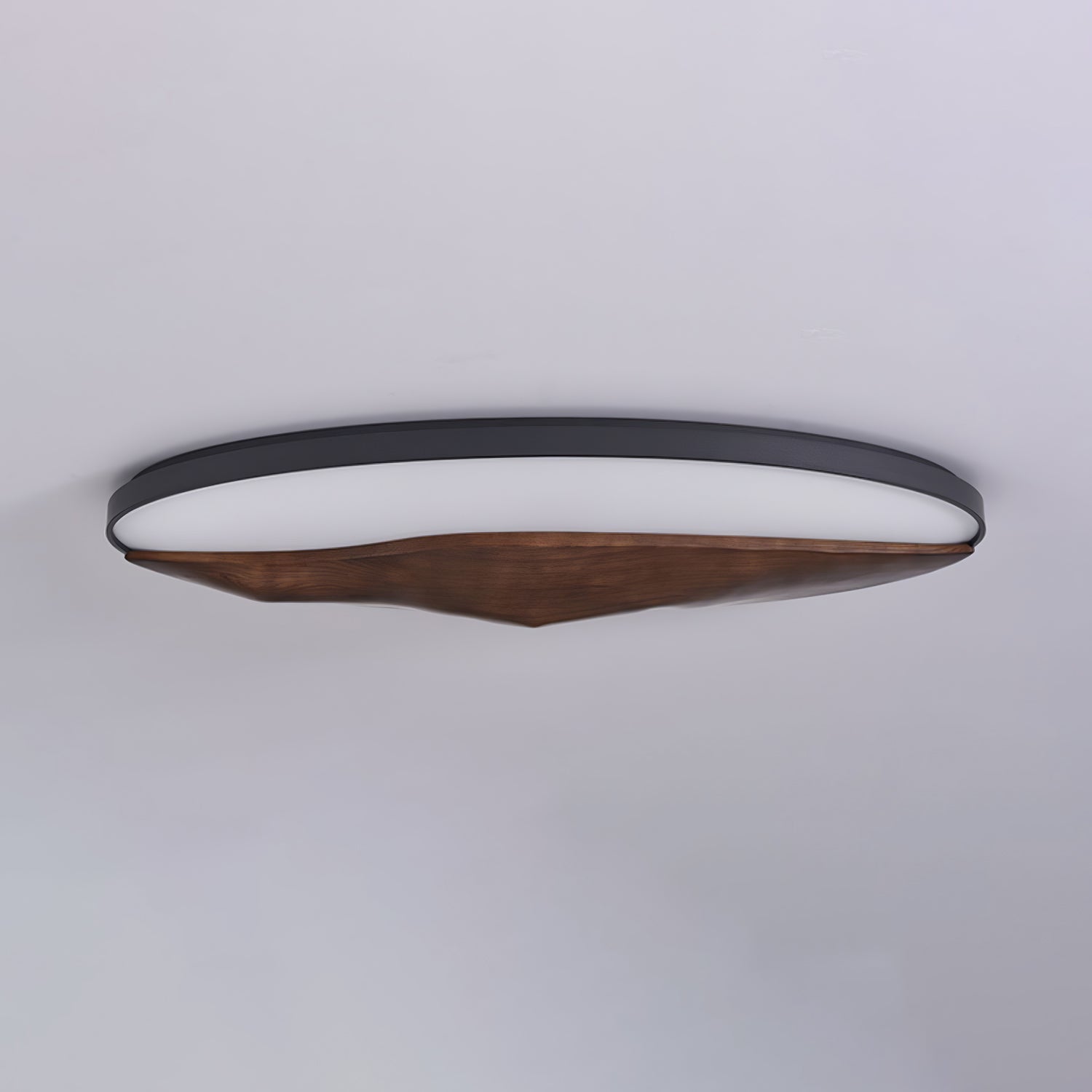 Geo Landscape Ceiling Light