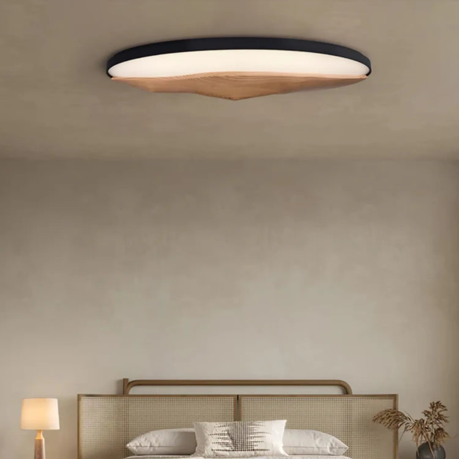 Geo Landscape Ceiling Light