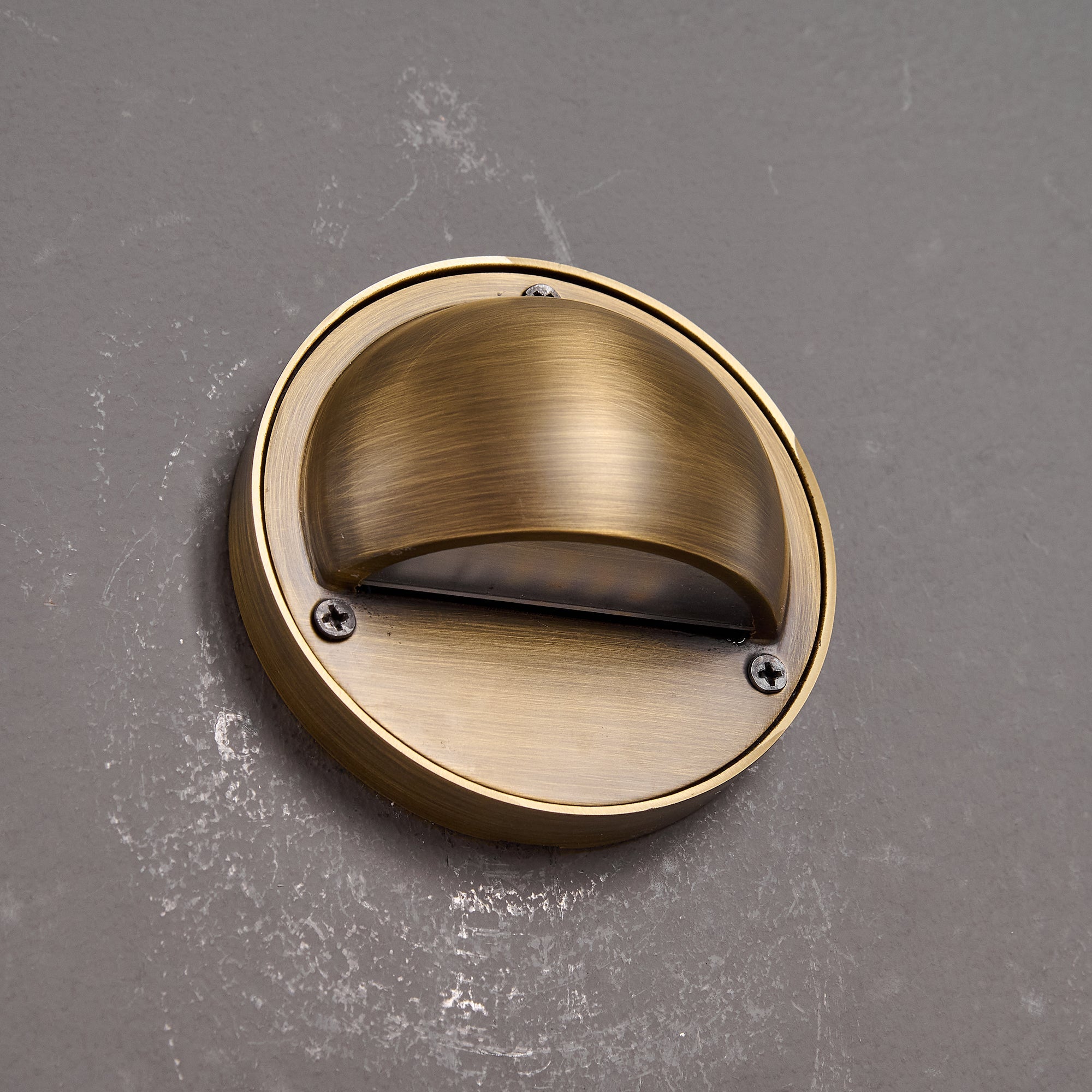 Avenlier Outdoor Wall Light