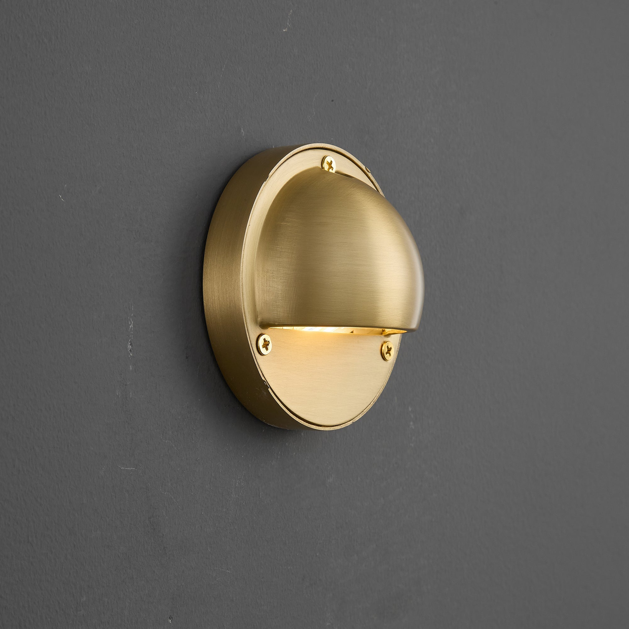 Avenlier Outdoor Wall Light