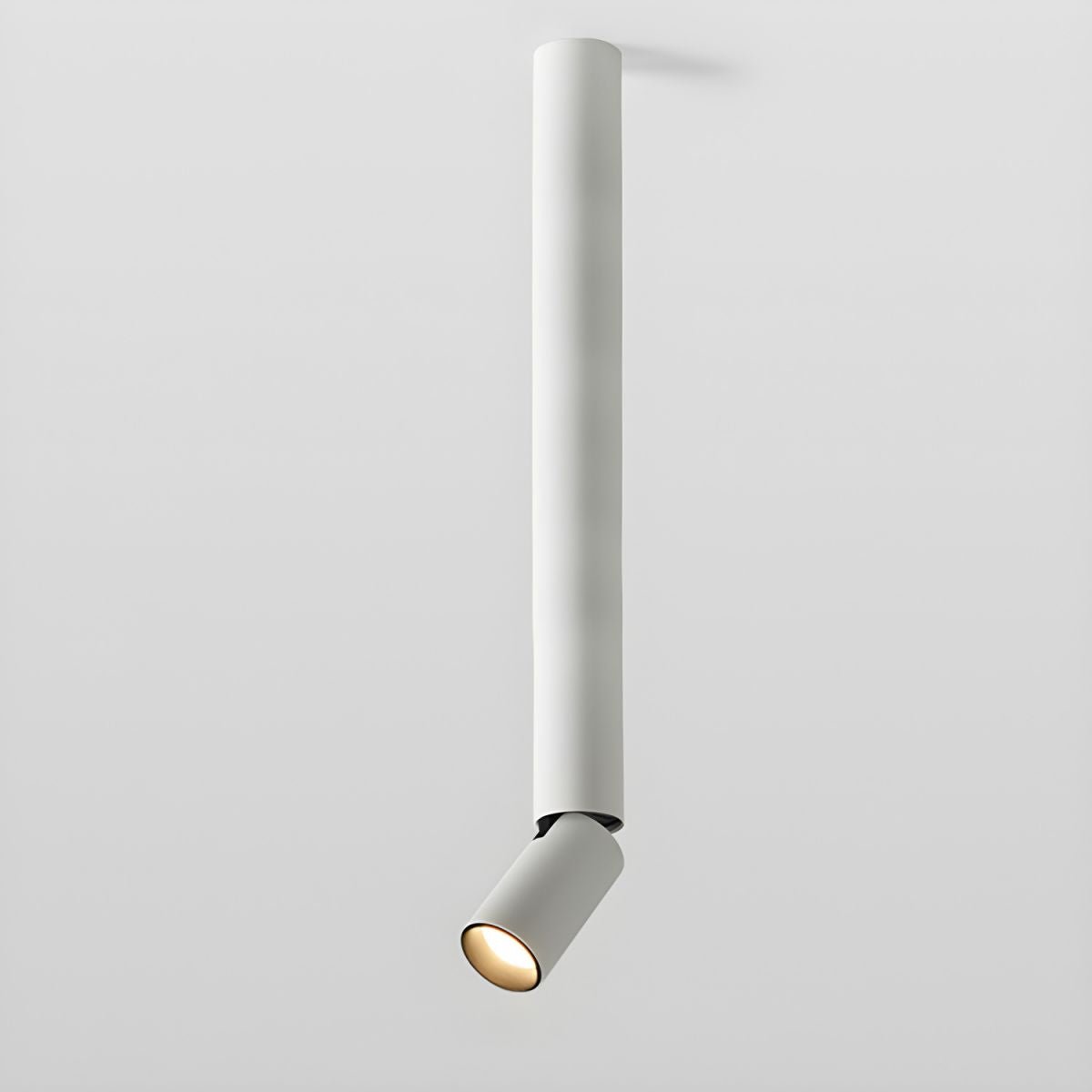 Joleizan Spotlight Ceiling Light