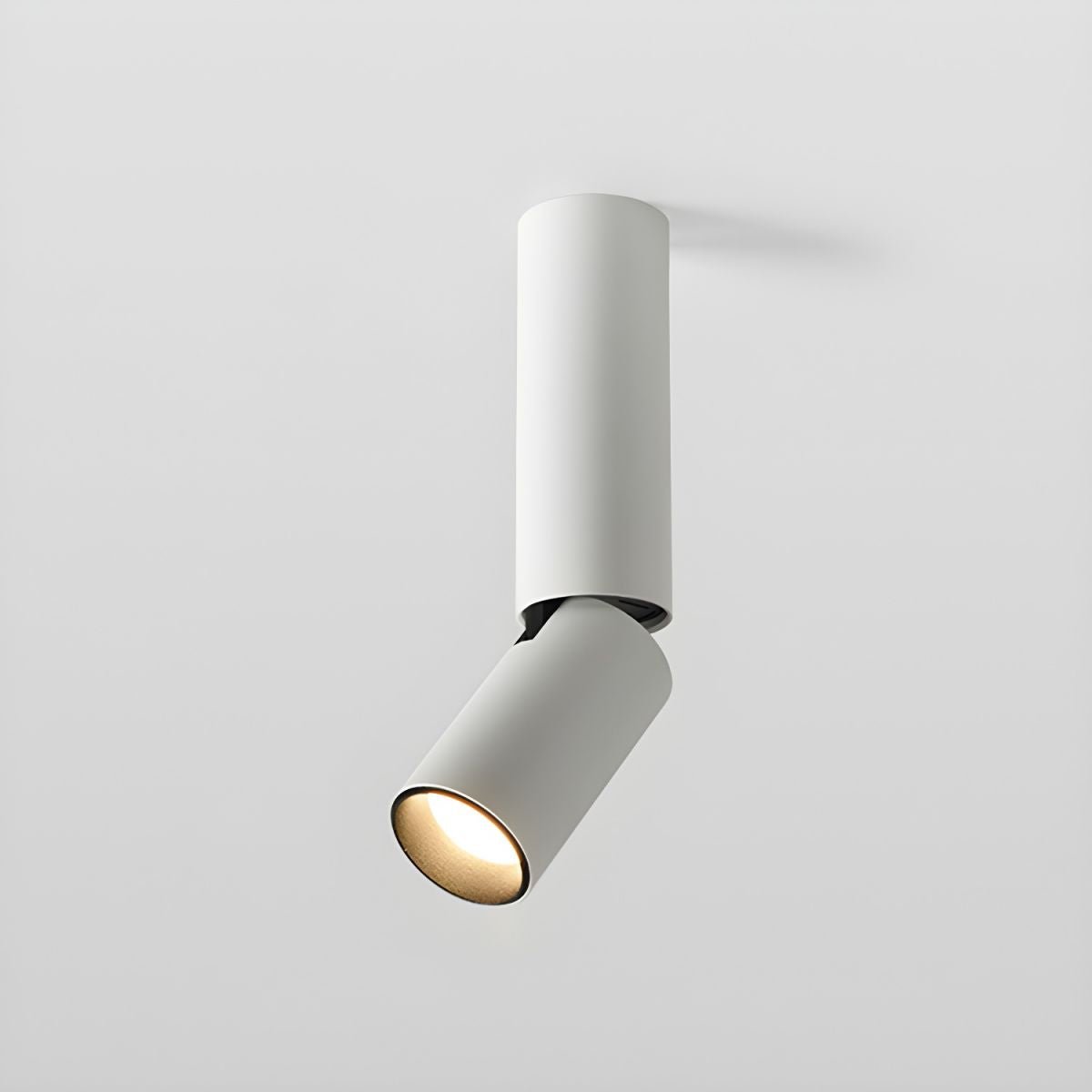 Joleizan Spotlight Ceiling Light