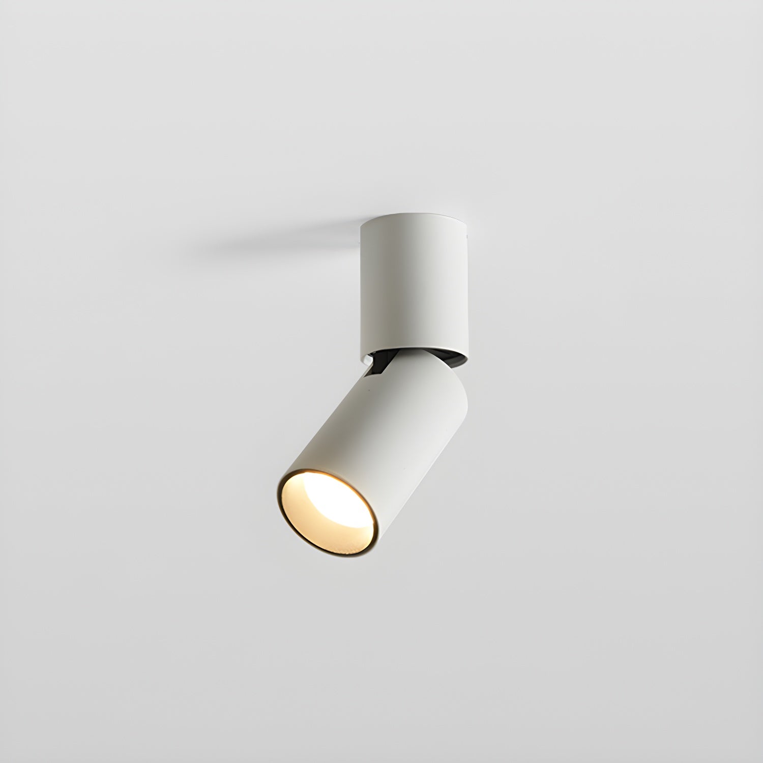 Joleizan Spotlight Ceiling Light