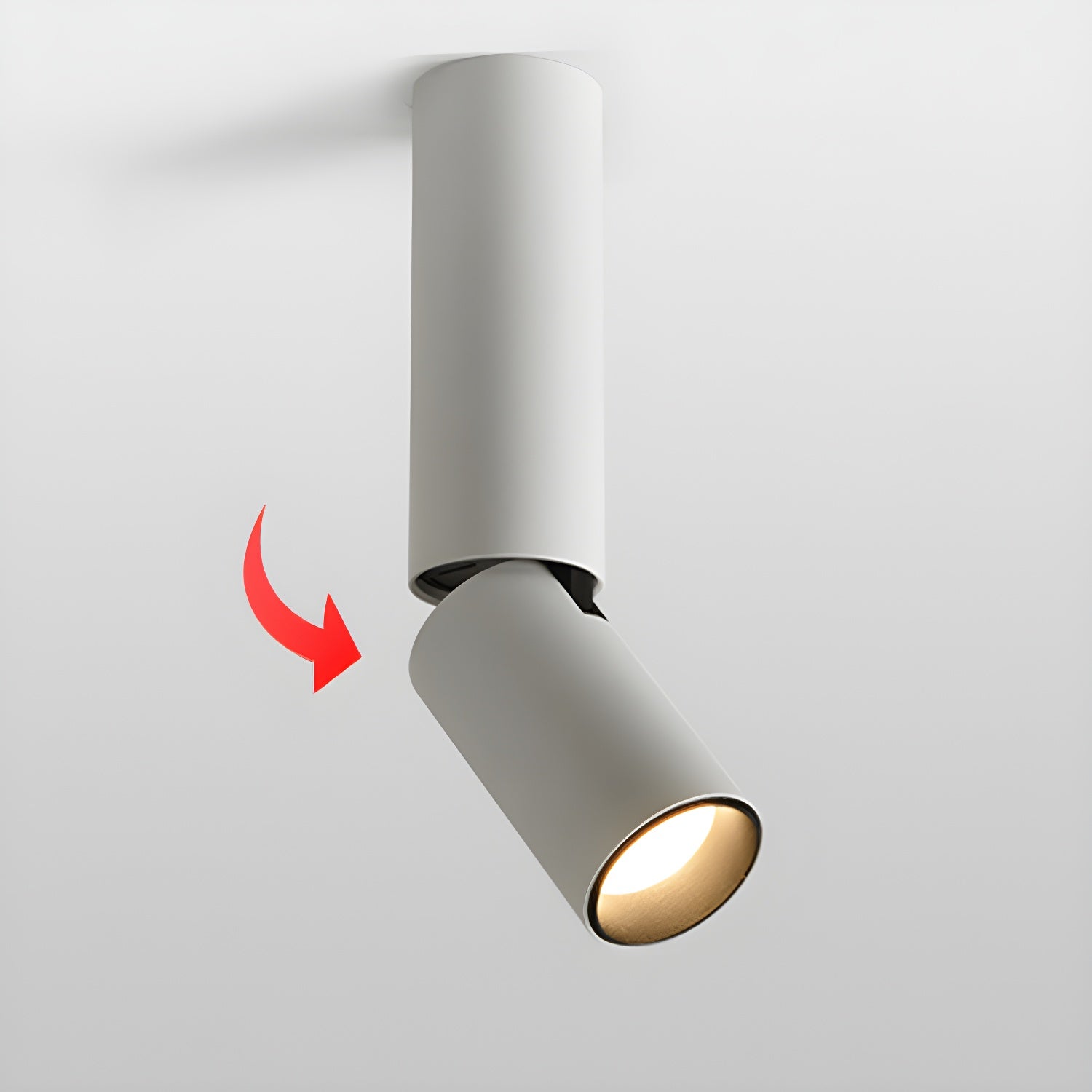 Joleizan Spotlight Ceiling Light