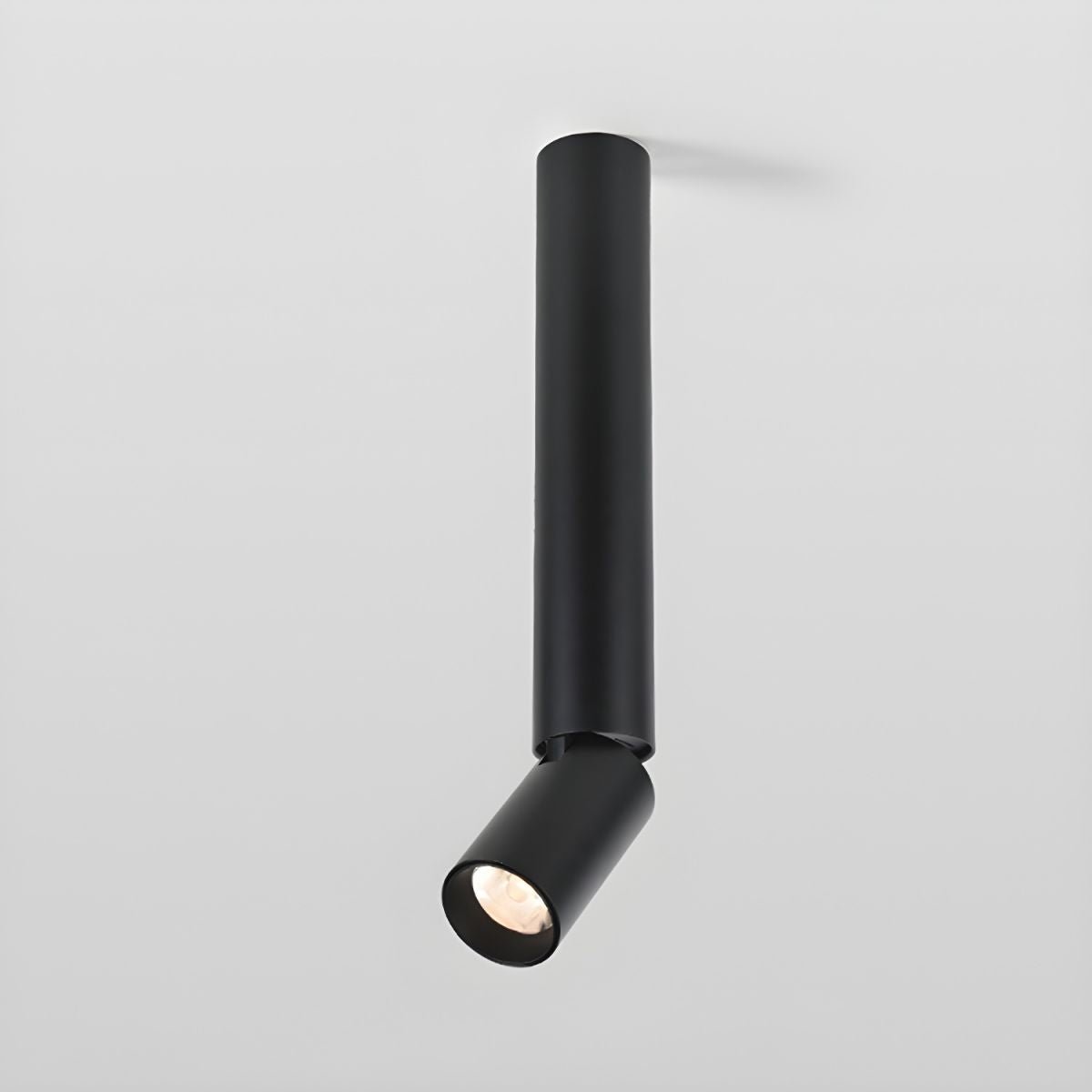 Joleizan Spotlight Ceiling Light