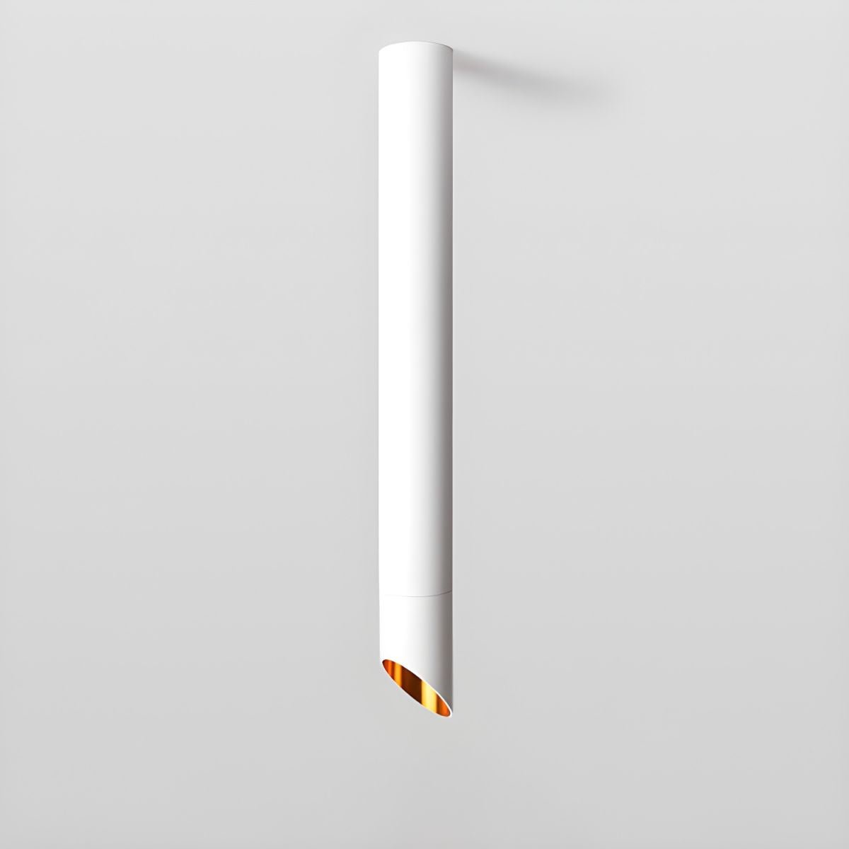 Sconime Ceiling Light