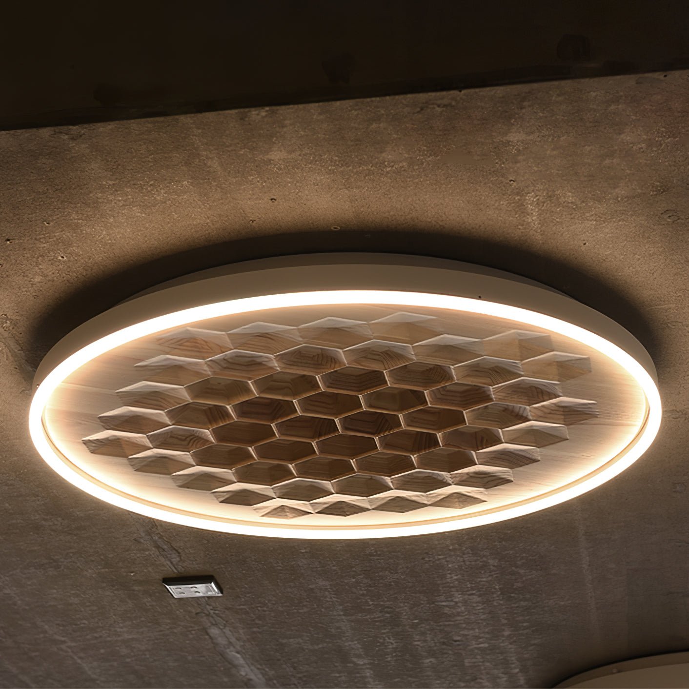 Heroza Ceiling Light