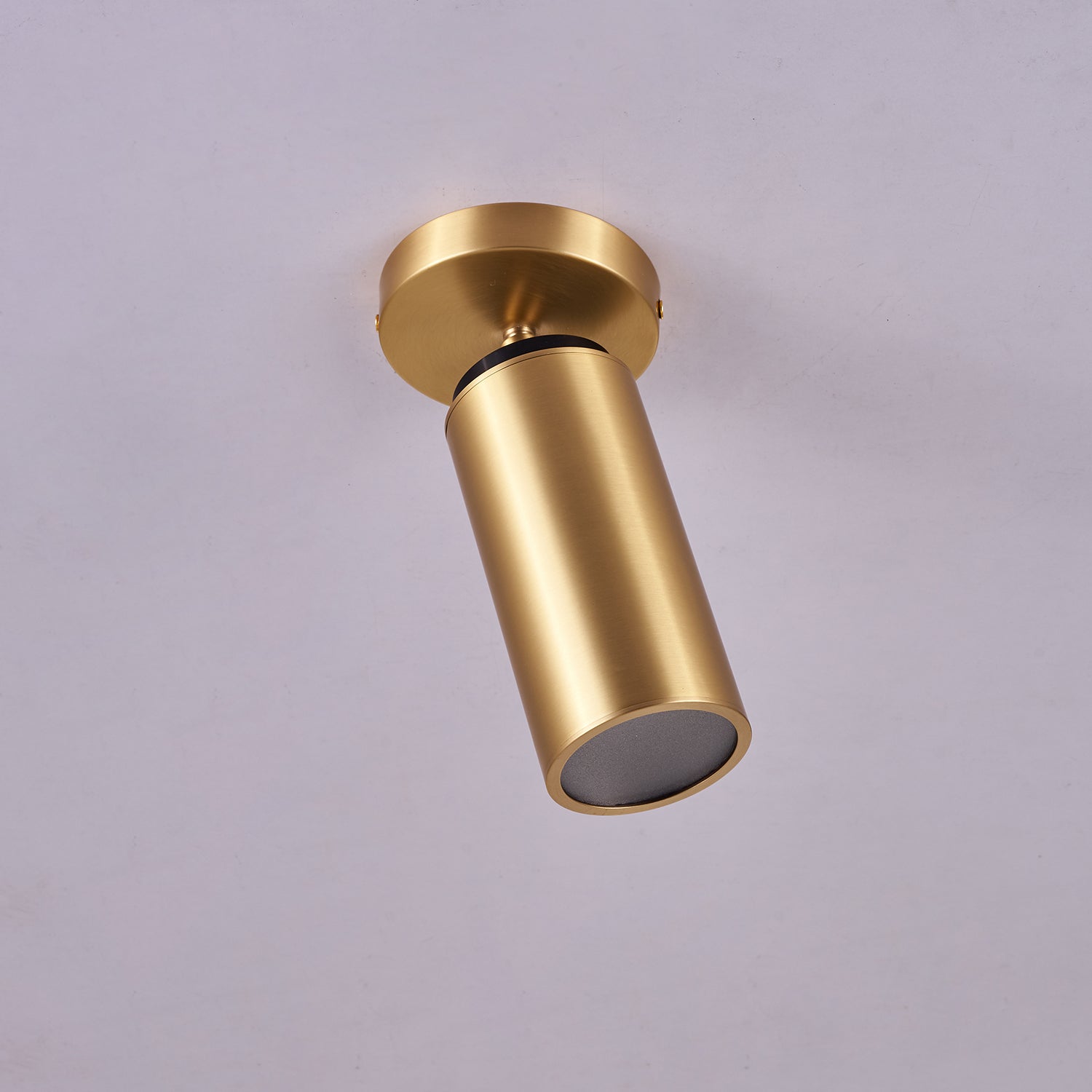 Bolizo Ceiling Light