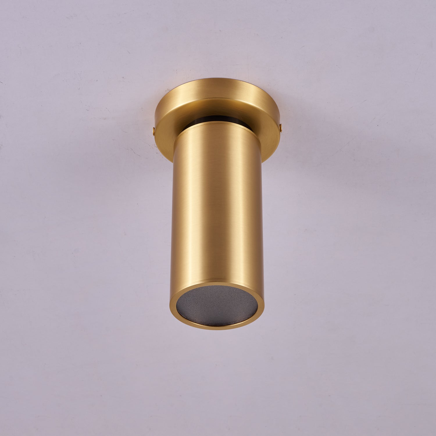 Bolizo Ceiling Light