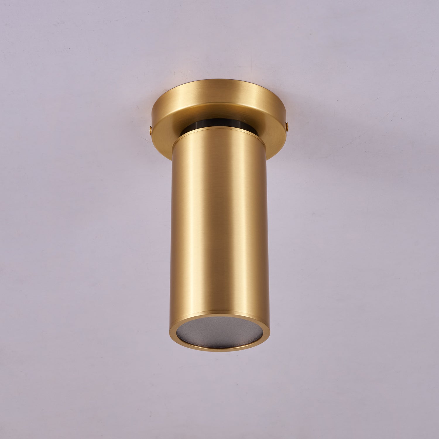 Bolizo Ceiling Light