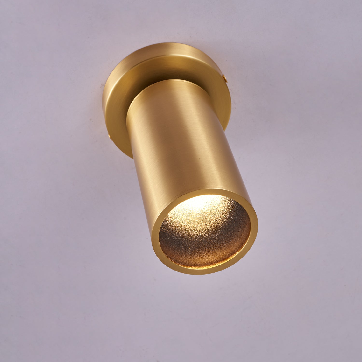 Bolizo Ceiling Light