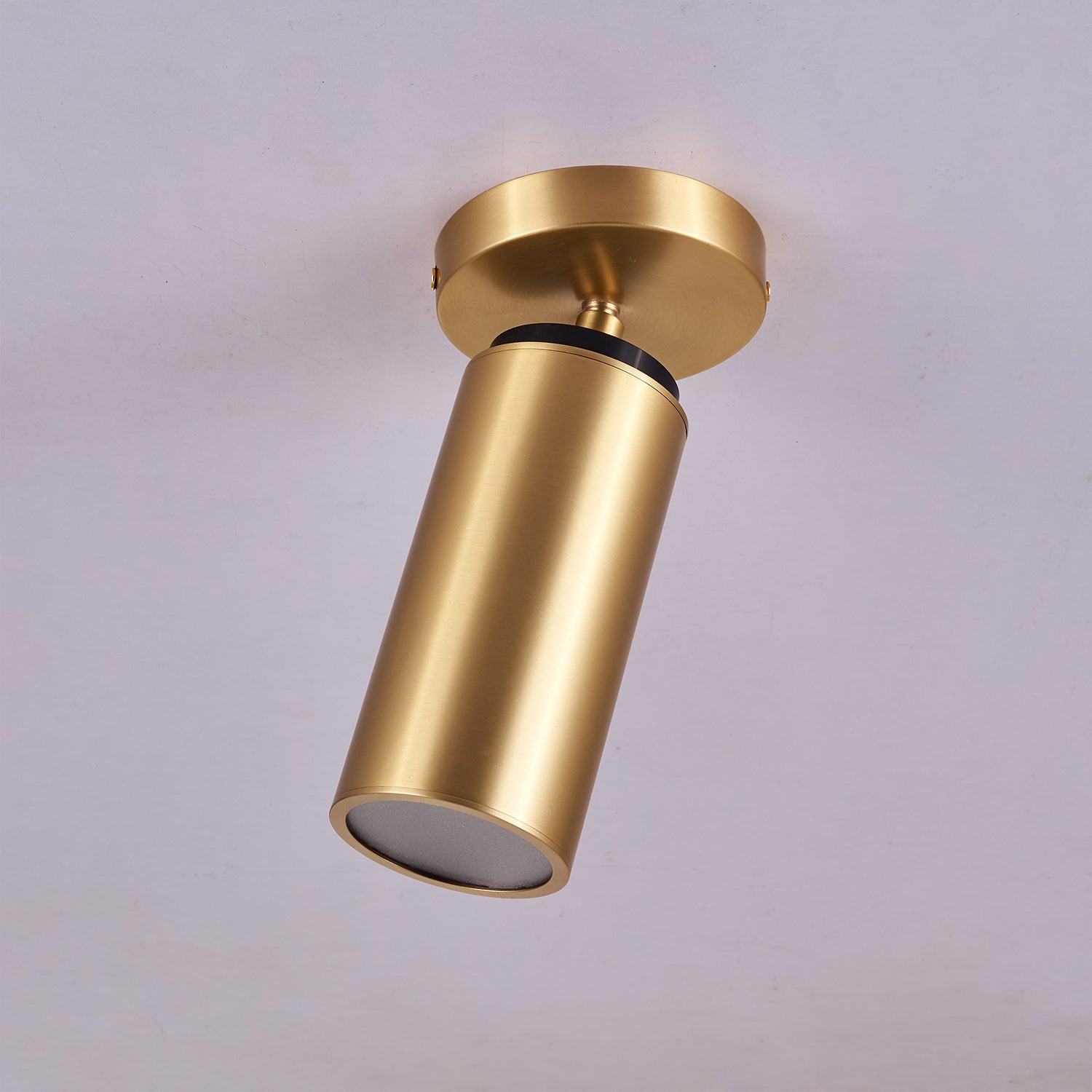 Bolizo Ceiling Light