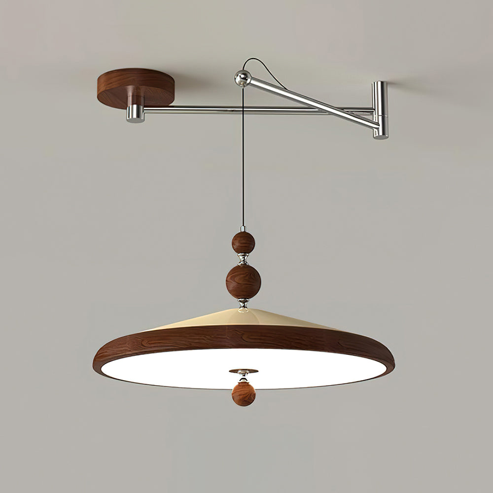 Telisoma Swing Arm Pendant Light