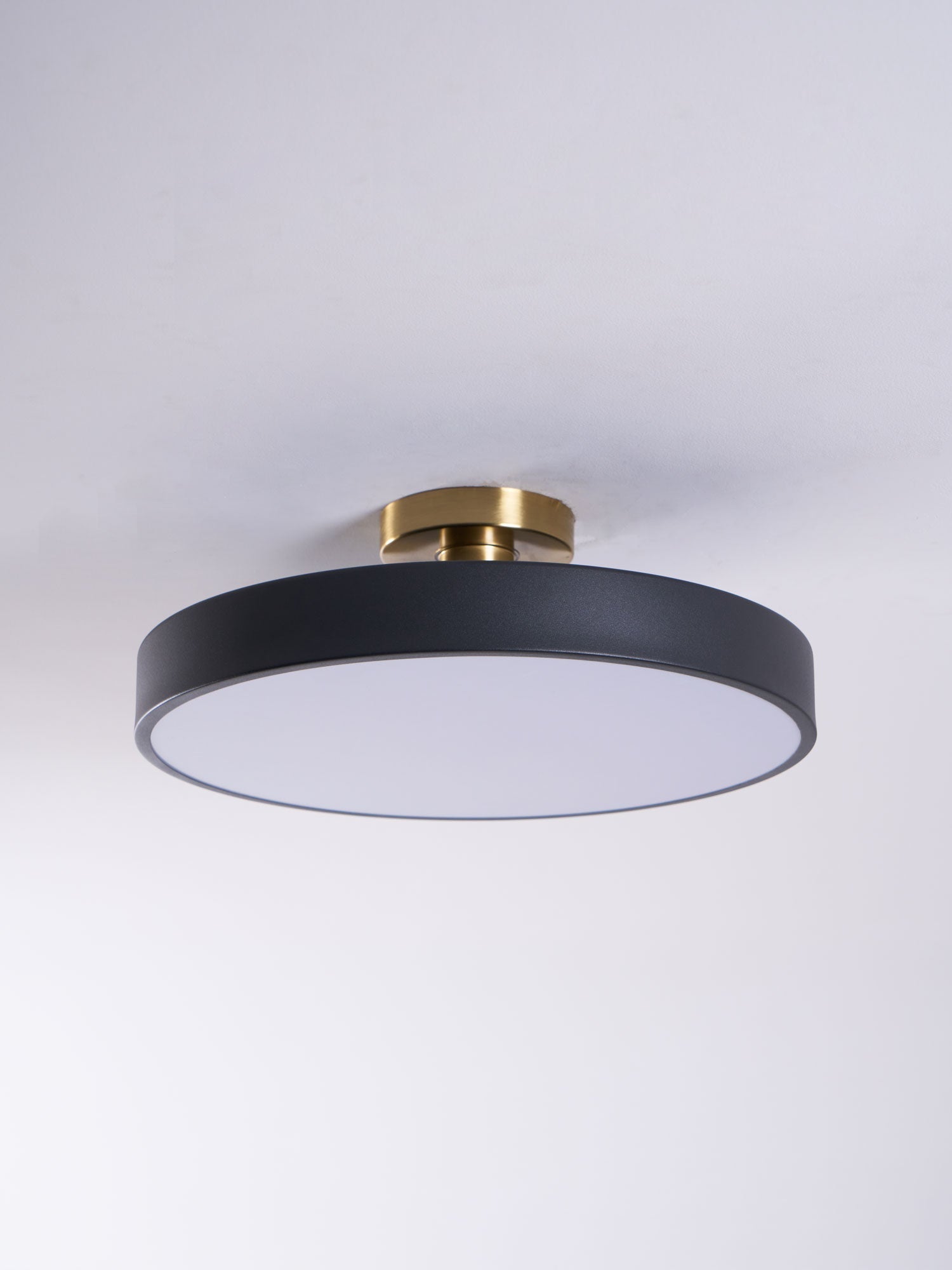 Lumeanon Round Ceiling Light