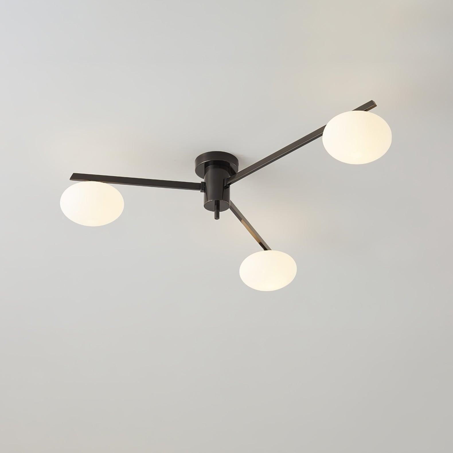 Japezo Ceiling Light