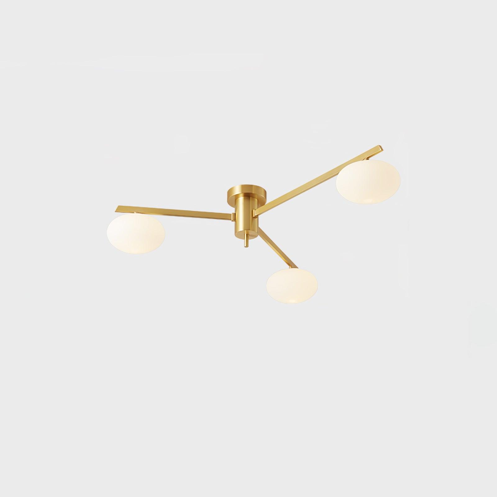 Japezo Ceiling Light