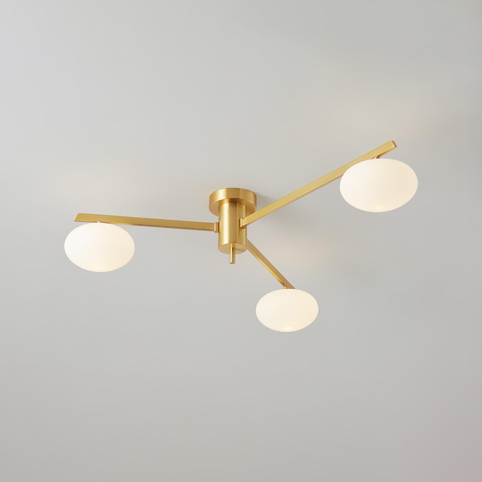 Japezo Ceiling Light