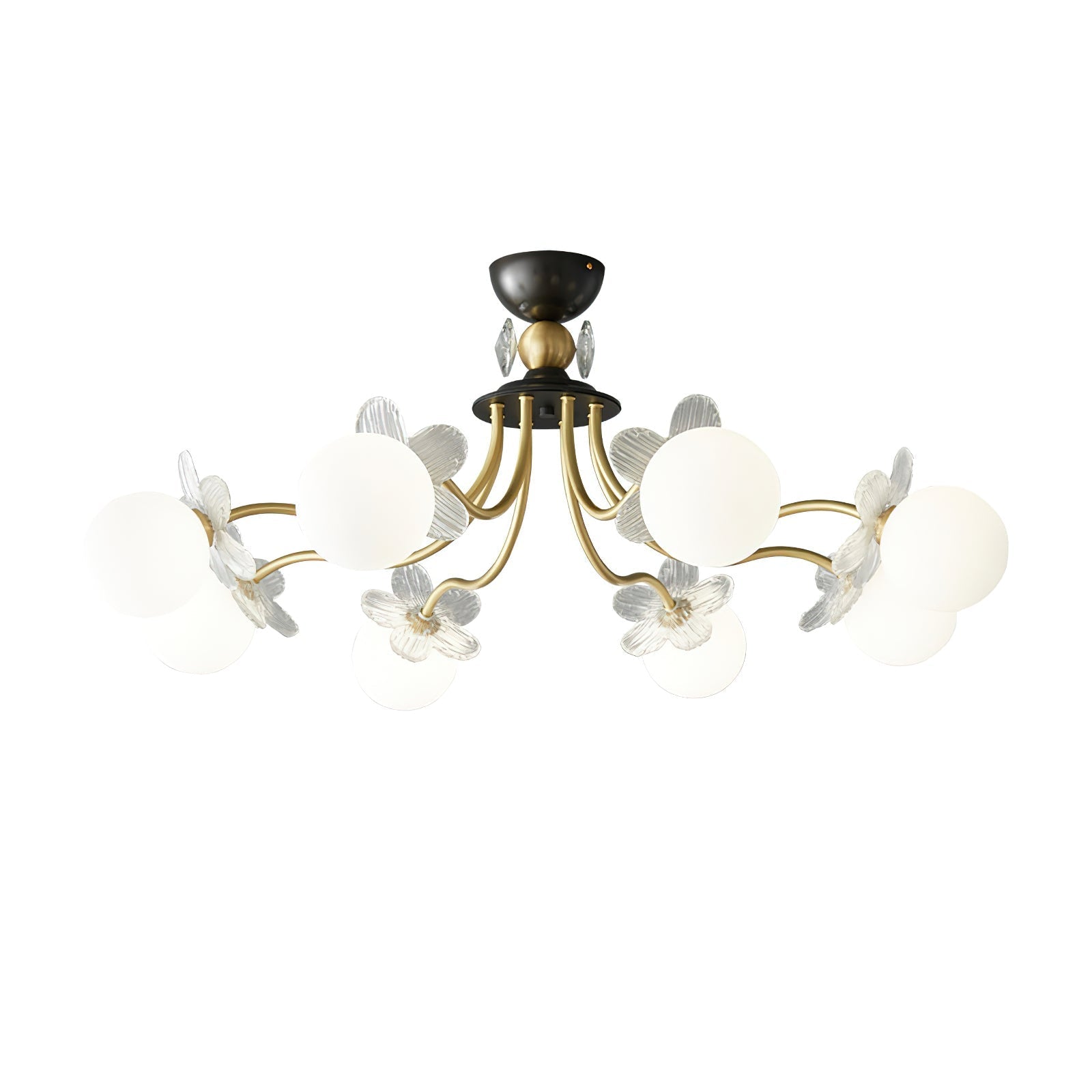 Blove Ceiling Light