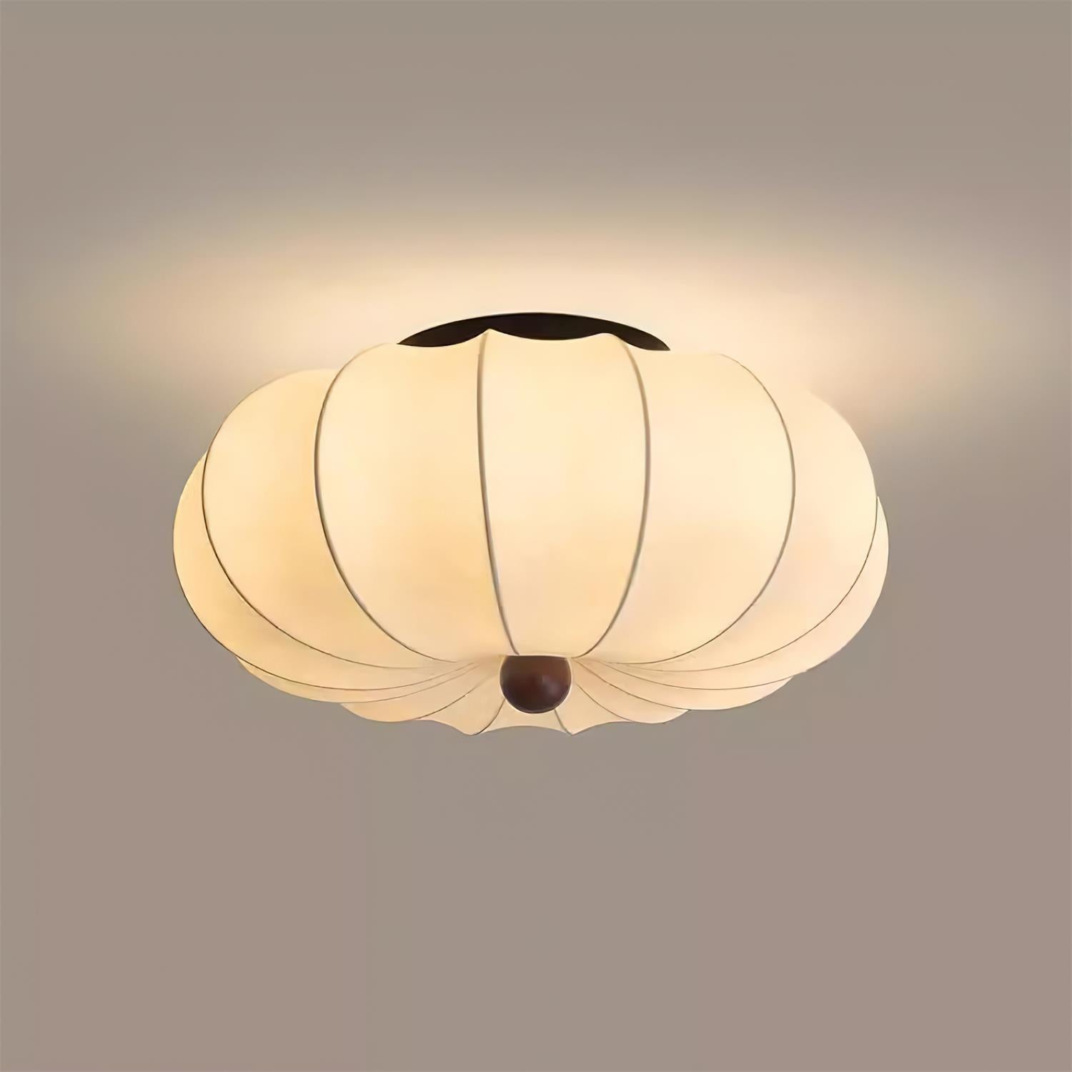 Prozon Ceiling Light