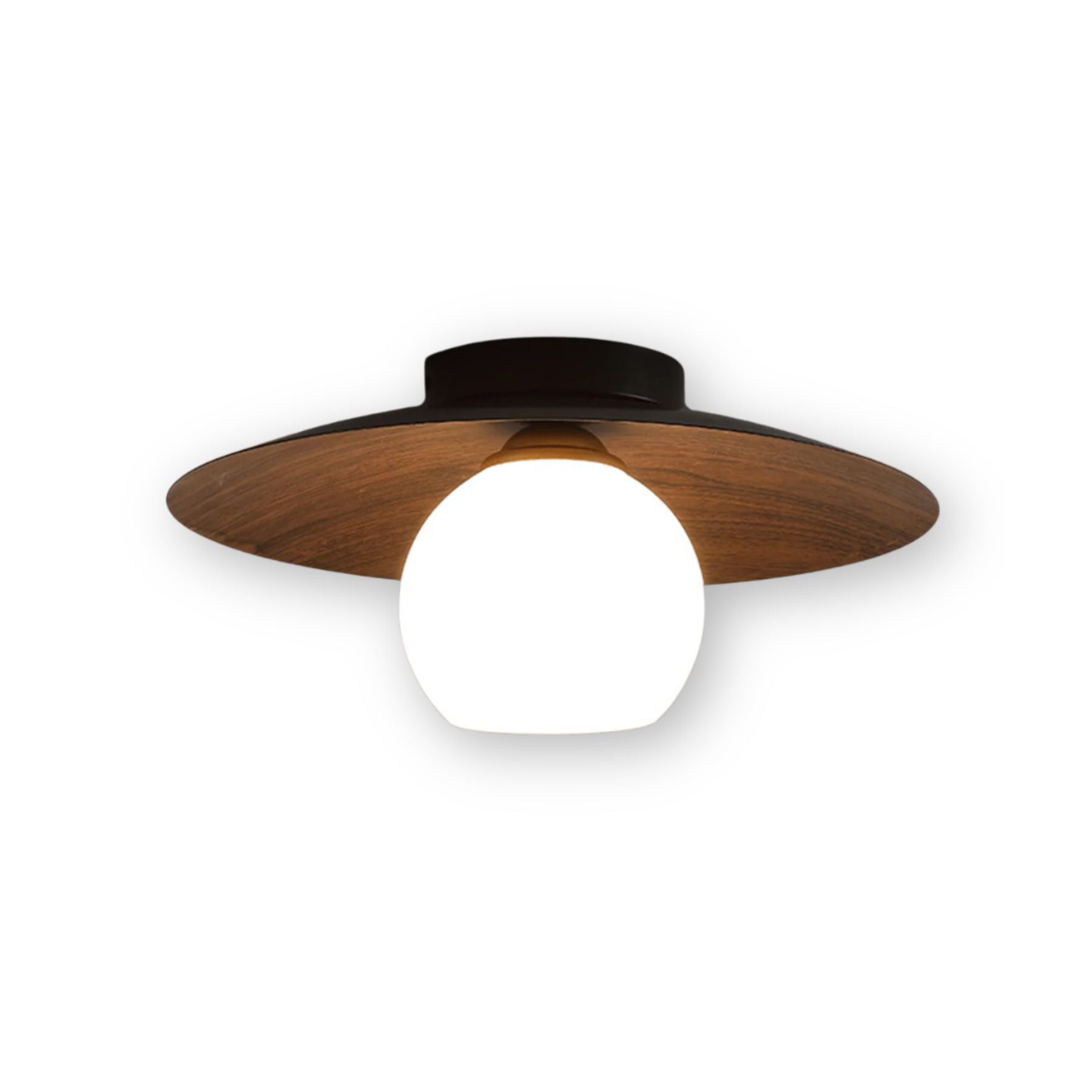Entaro Ceiling Light
