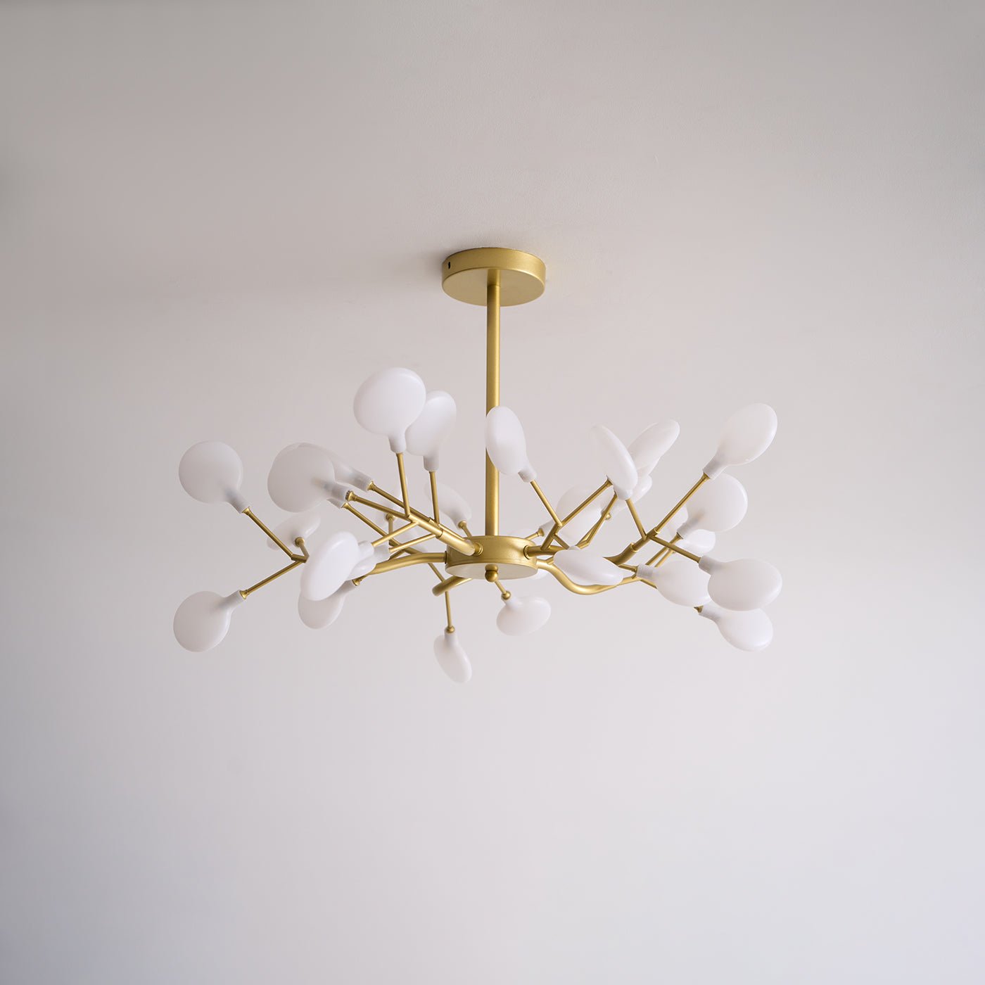 Filonea Pendant Light