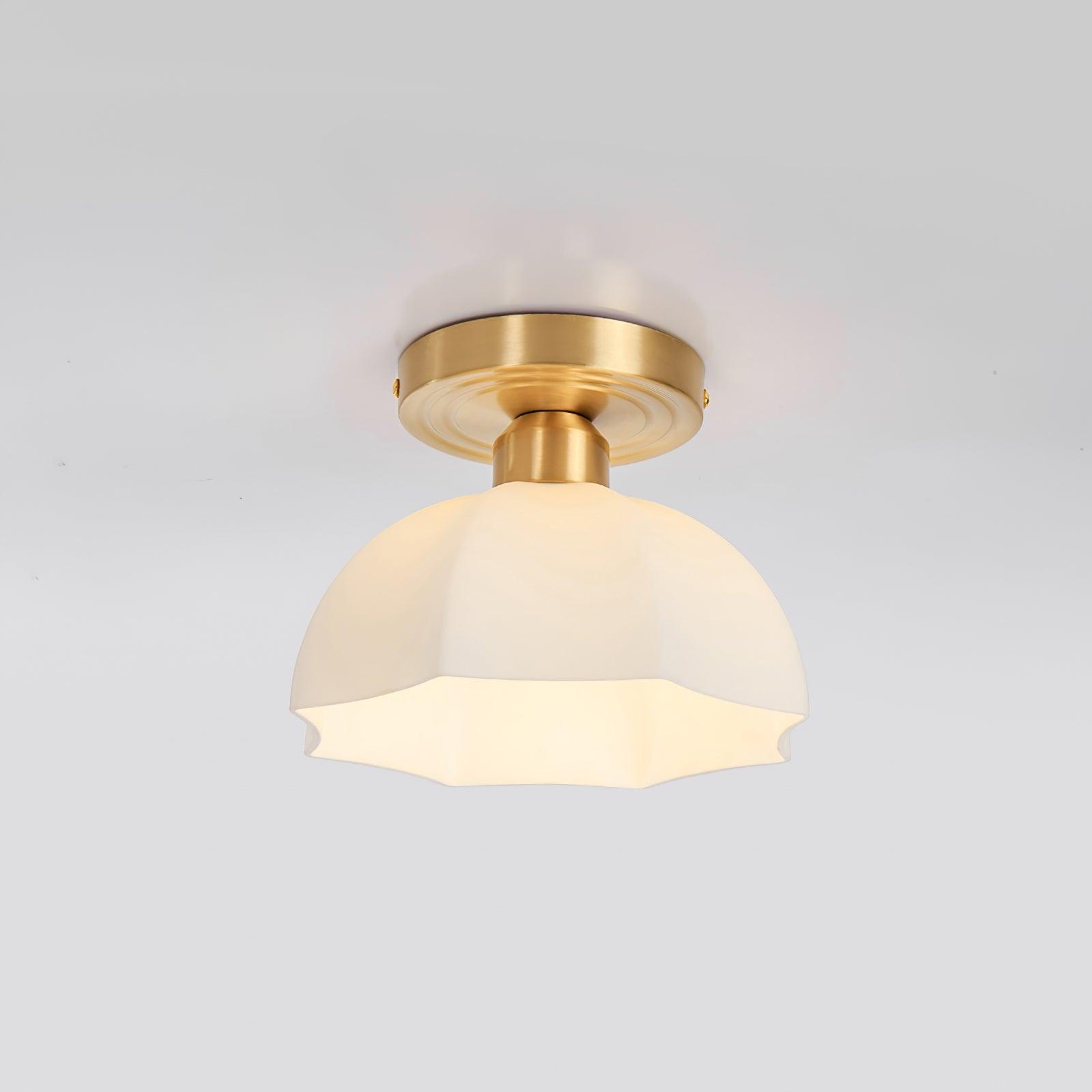 Lynzor Ceiling Light