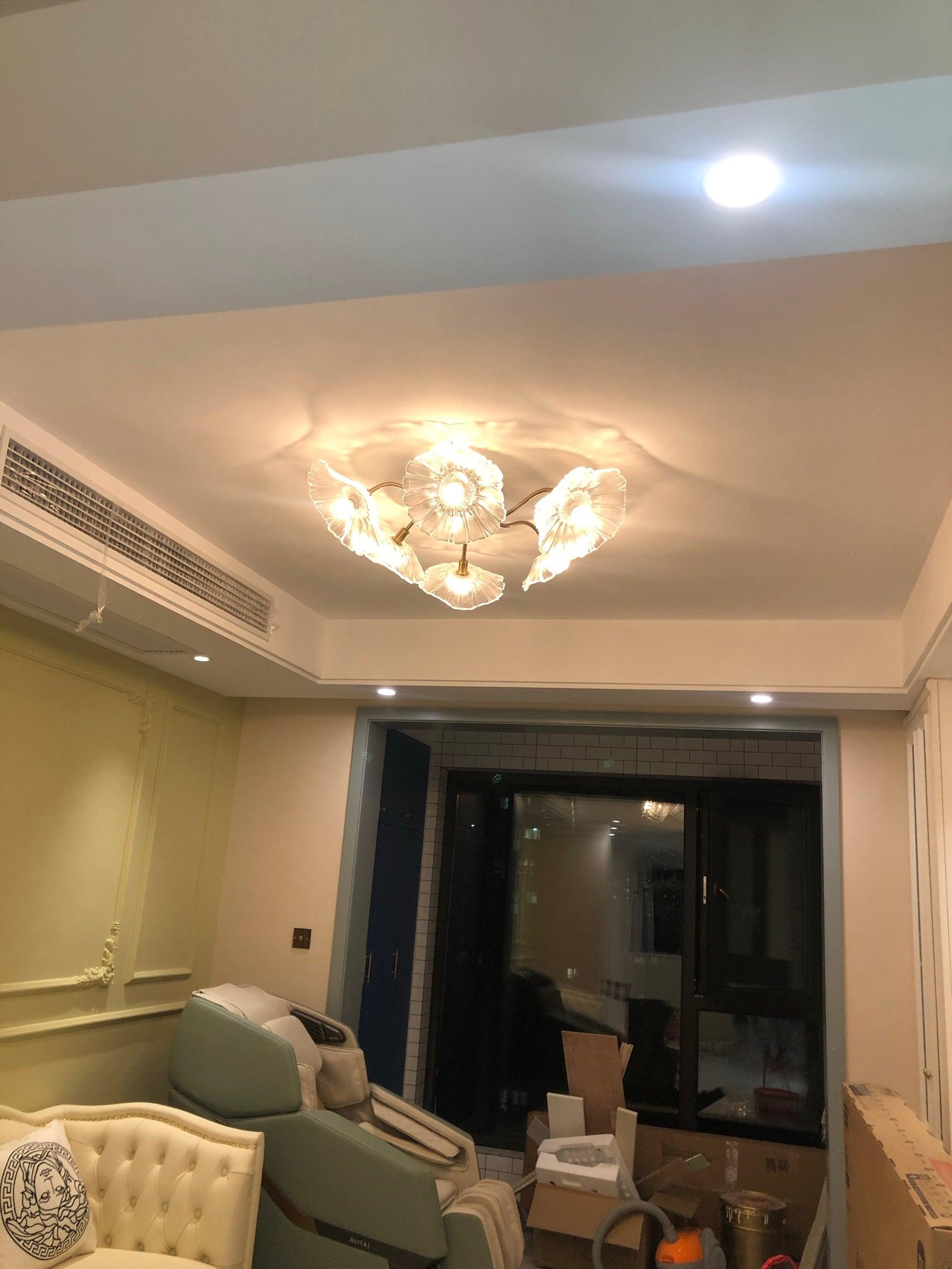 Mera Leaf Ceiling Light