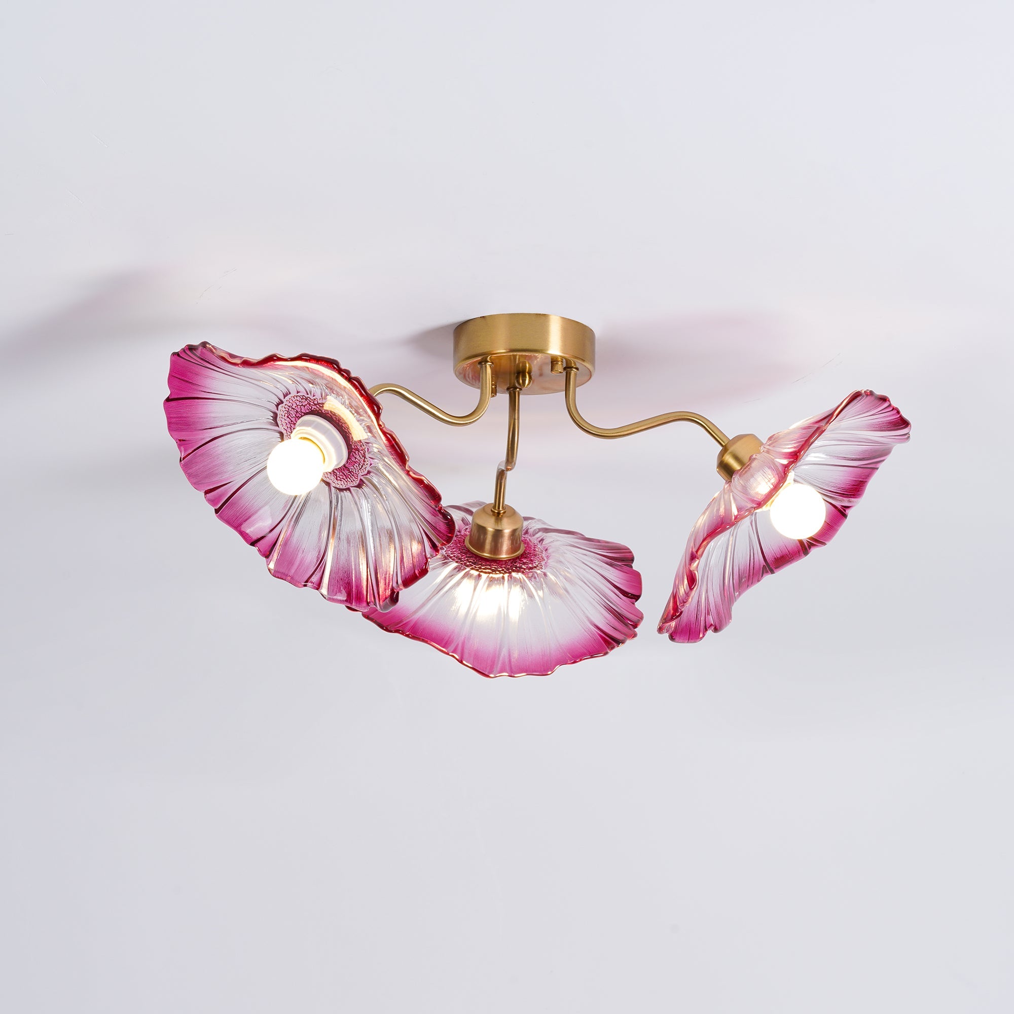Mera Leaf Ceiling Light
