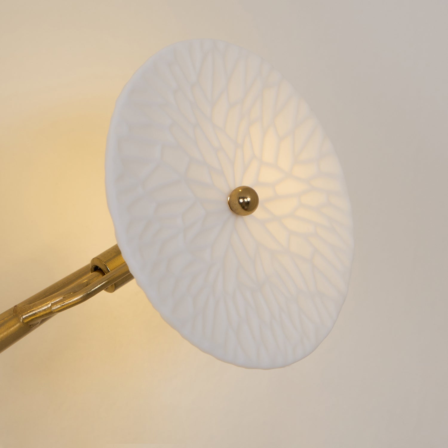 Verroburn Petal Wall Light