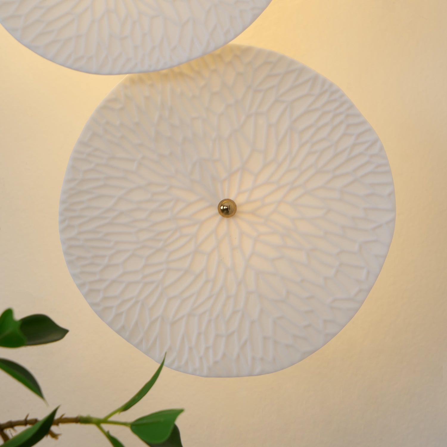 Verroburn Petal Wall Light