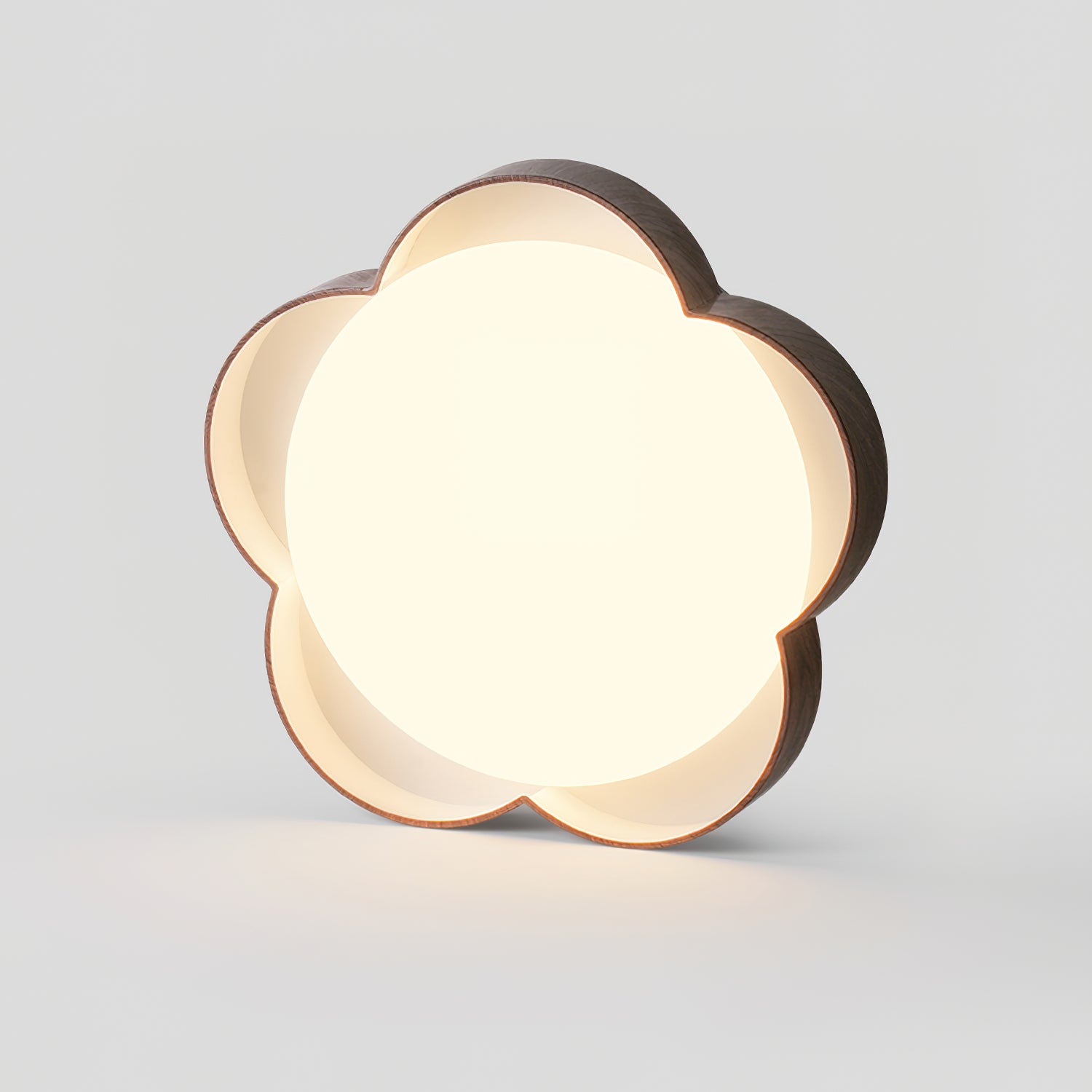 Lemniza Ceiling Light