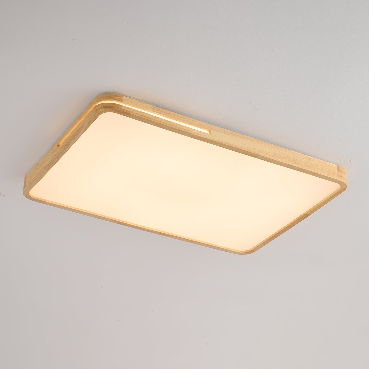 Luvalo Ceiling Light