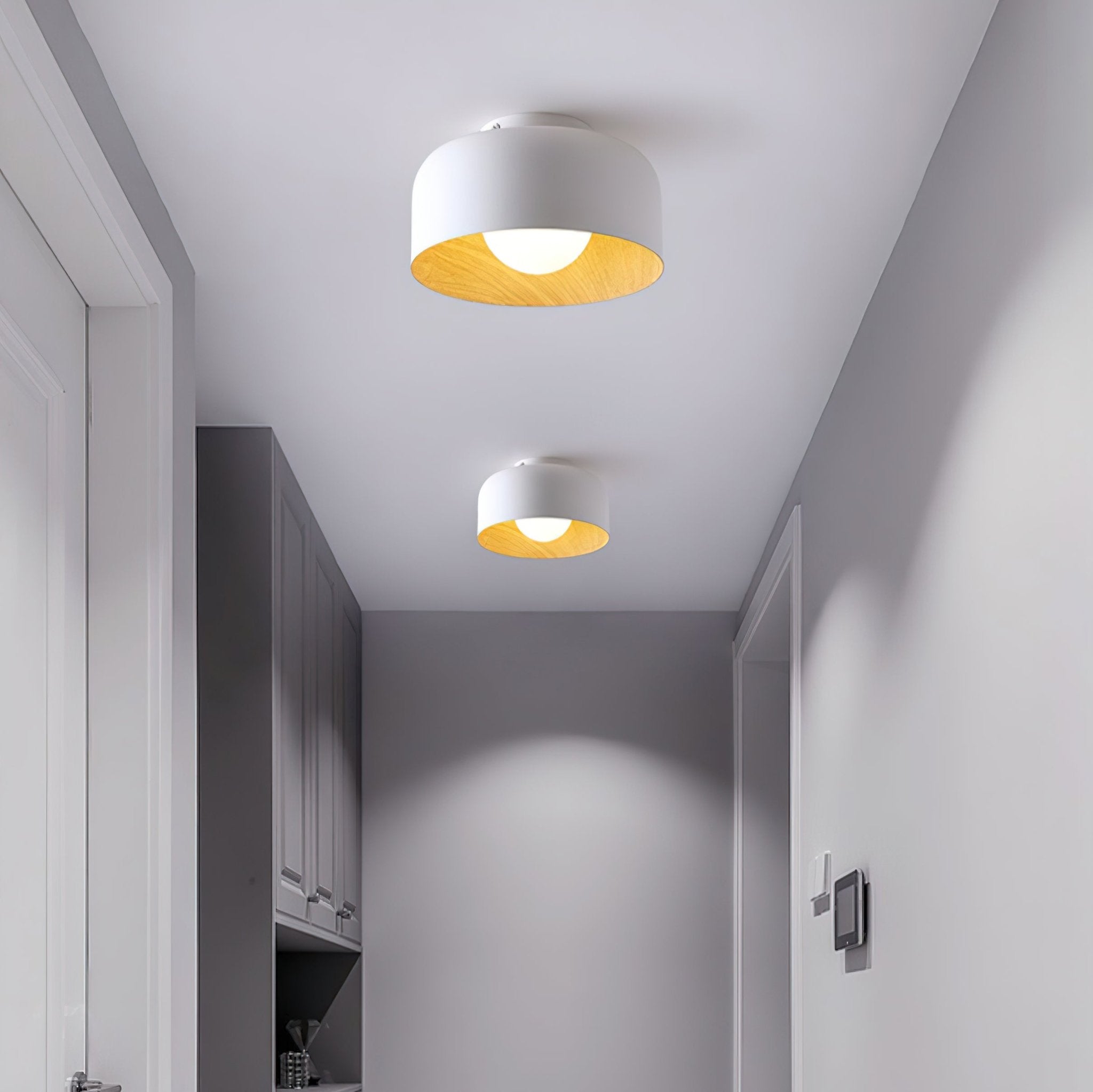 Zarnivo Ceiling Light