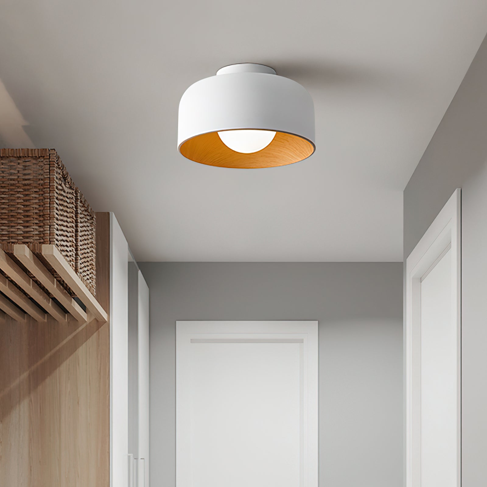 Zarnivo Ceiling Light