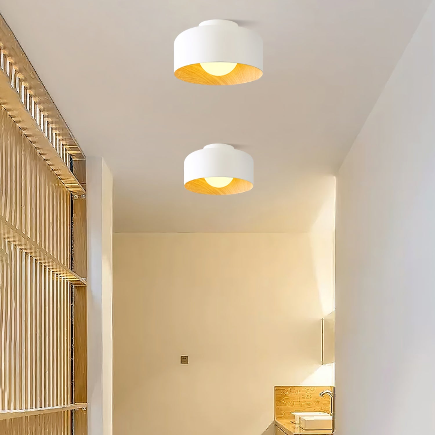Zarnivo Ceiling Light