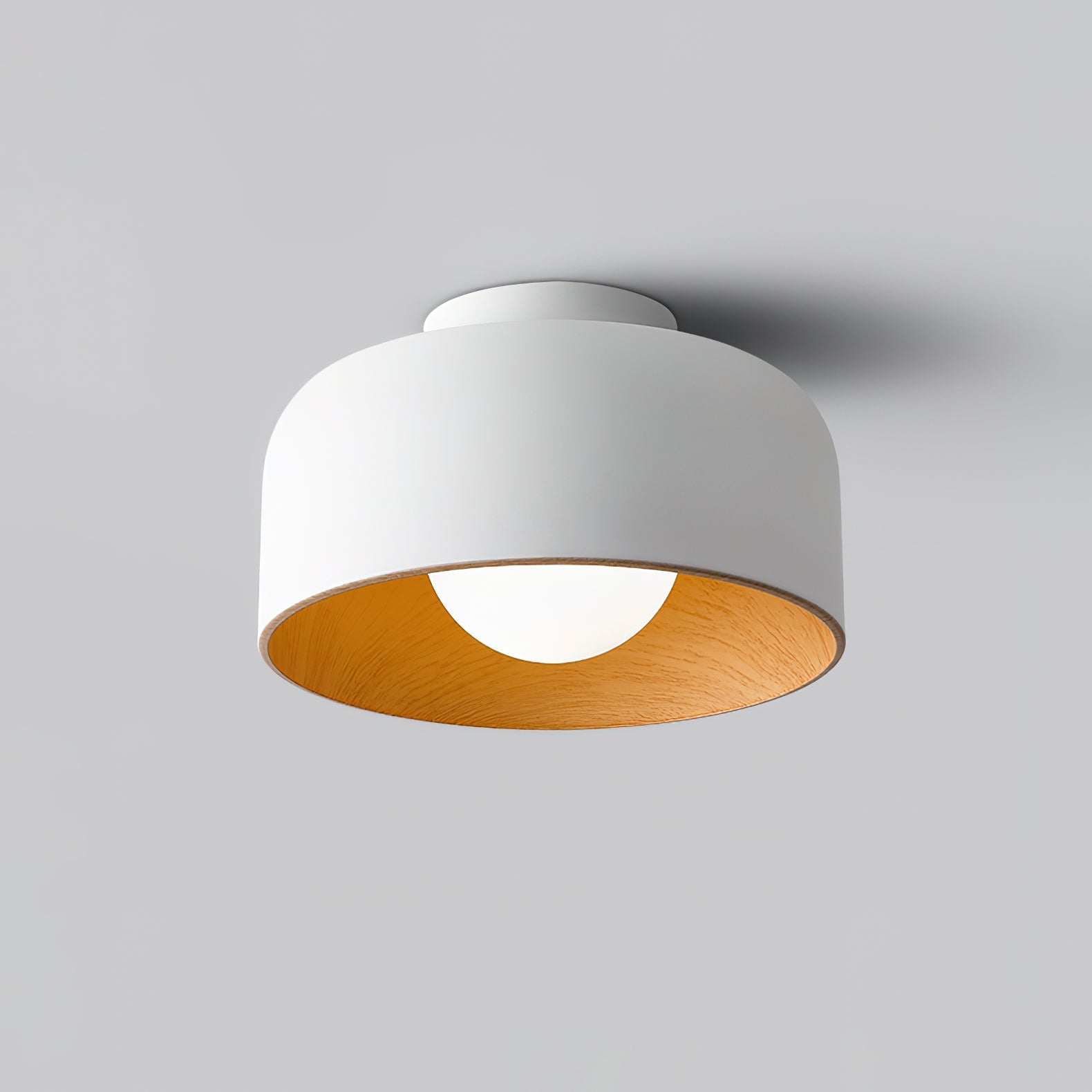 Zarnivo Ceiling Light