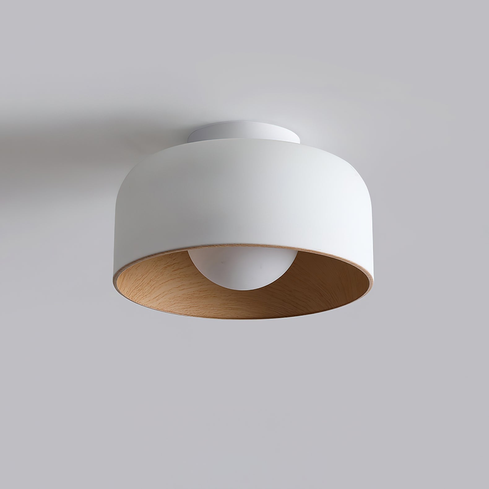 Zarnivo Ceiling Light