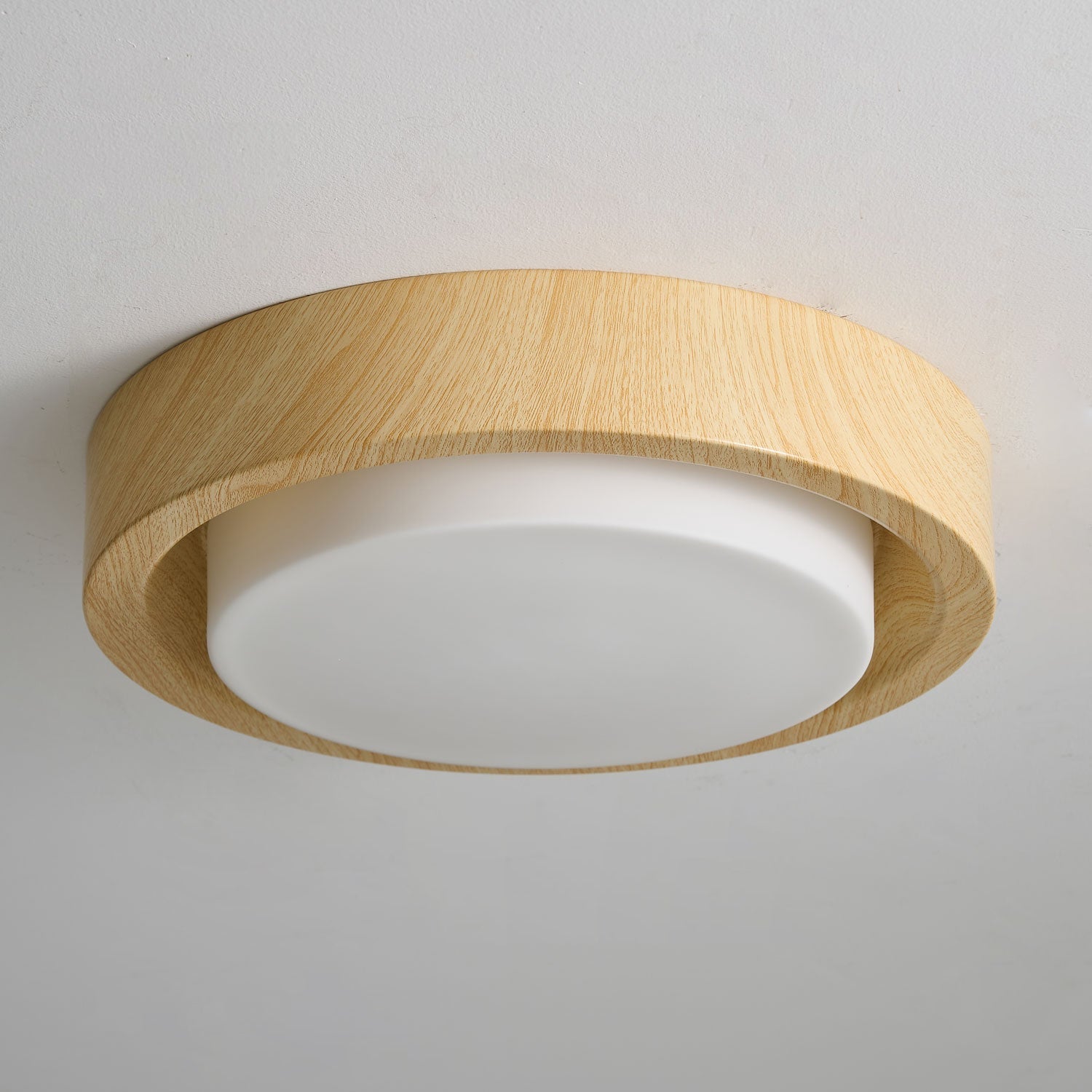 Lumza Ring Shape Ceiling Light