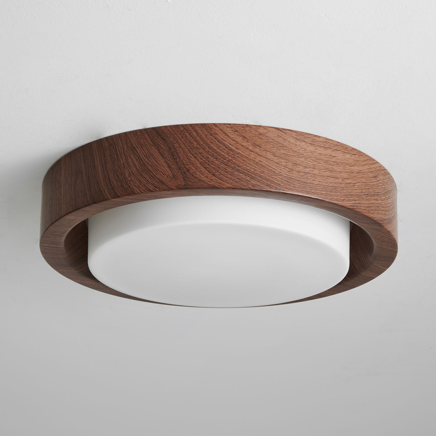 Lumza Ring Shape Ceiling Light