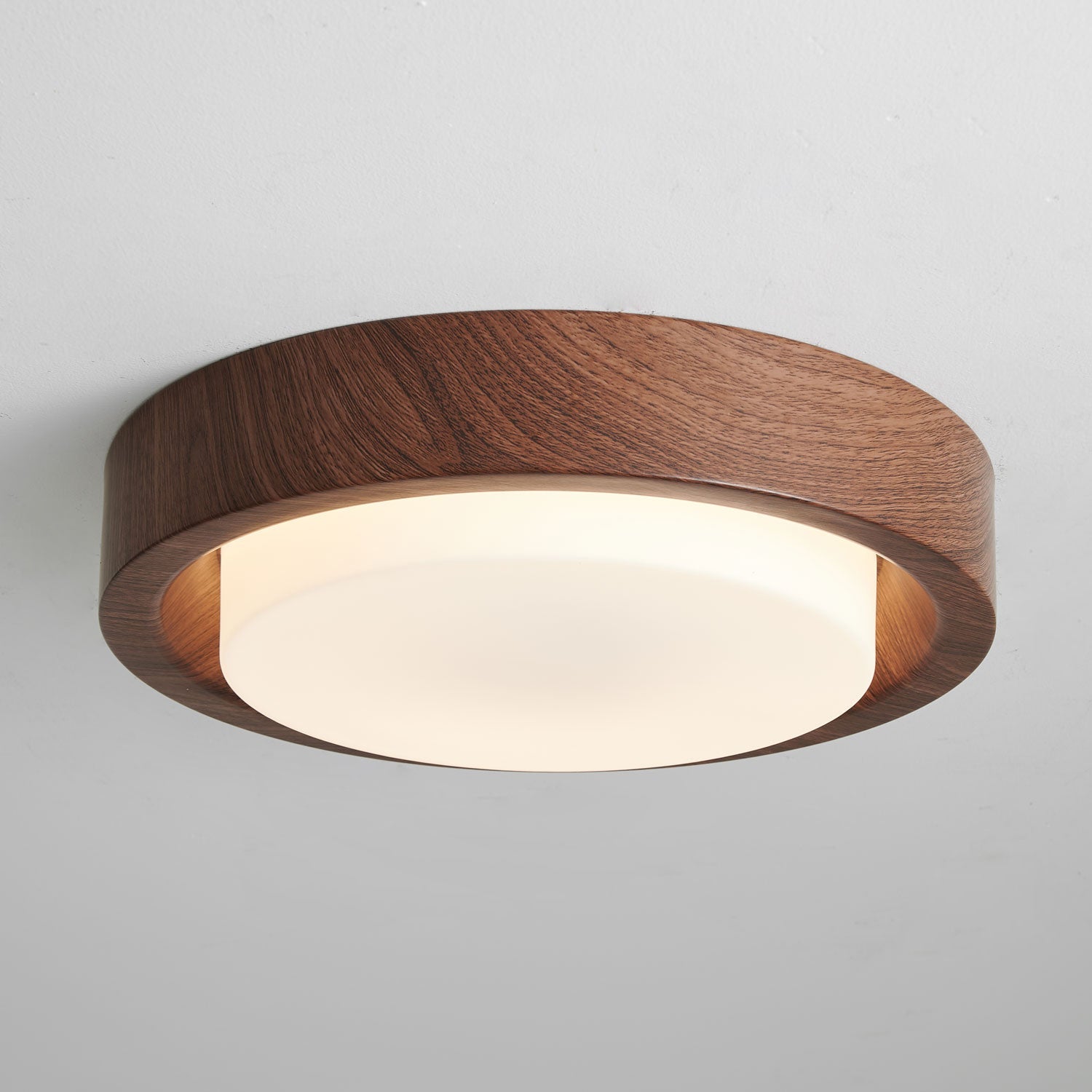 Lumza Ring Shape Ceiling Light