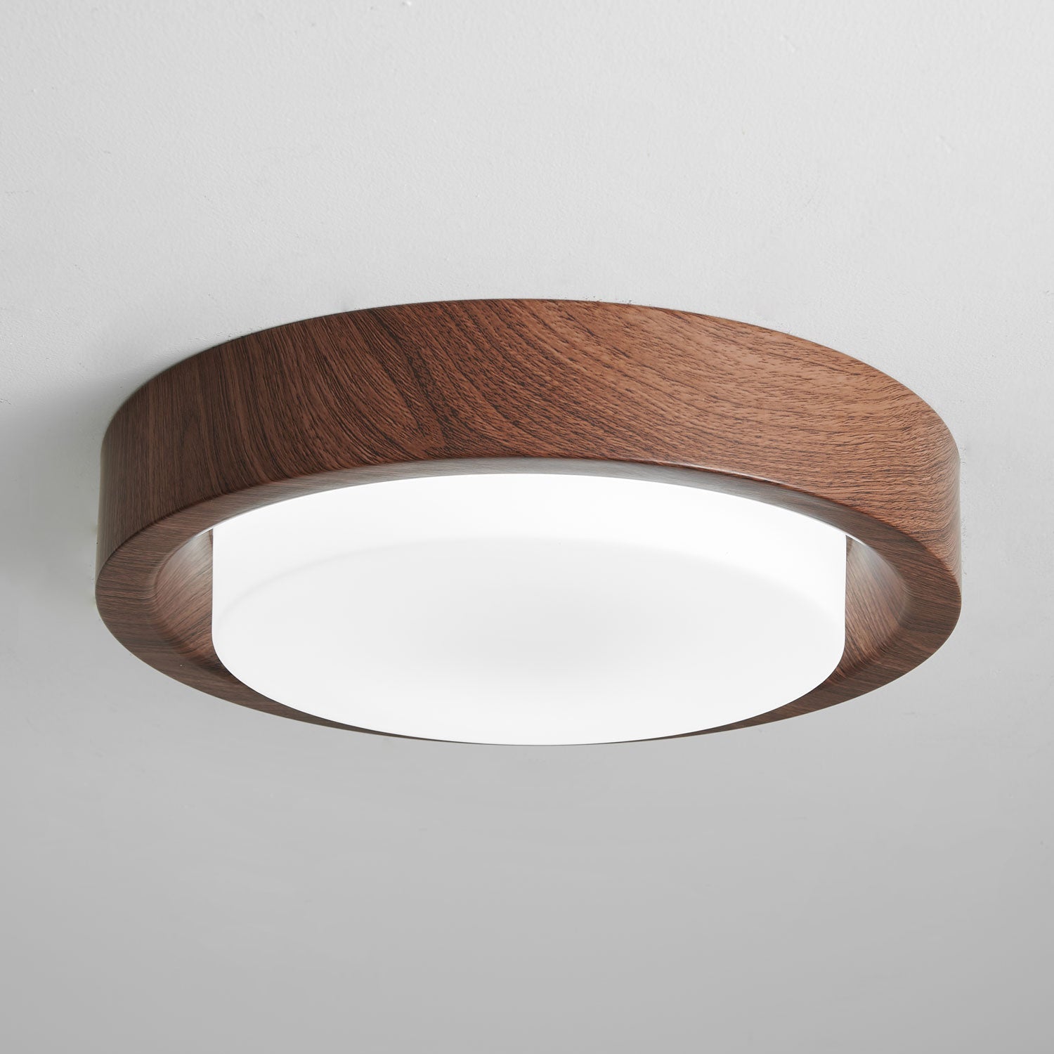 Lumza Ring Shape Ceiling Light