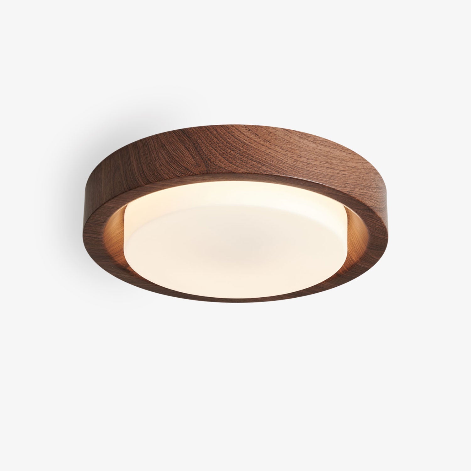 Lumza Ring Shape Ceiling Light