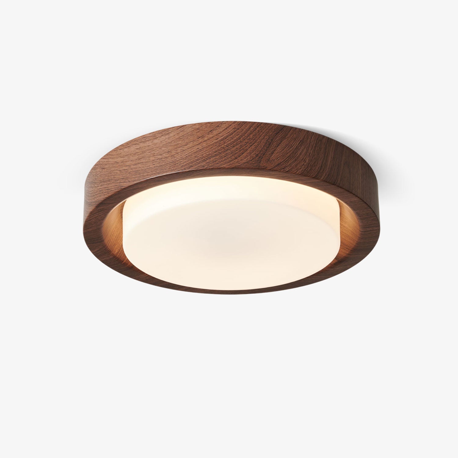 Lumza Ring Shape Ceiling Light