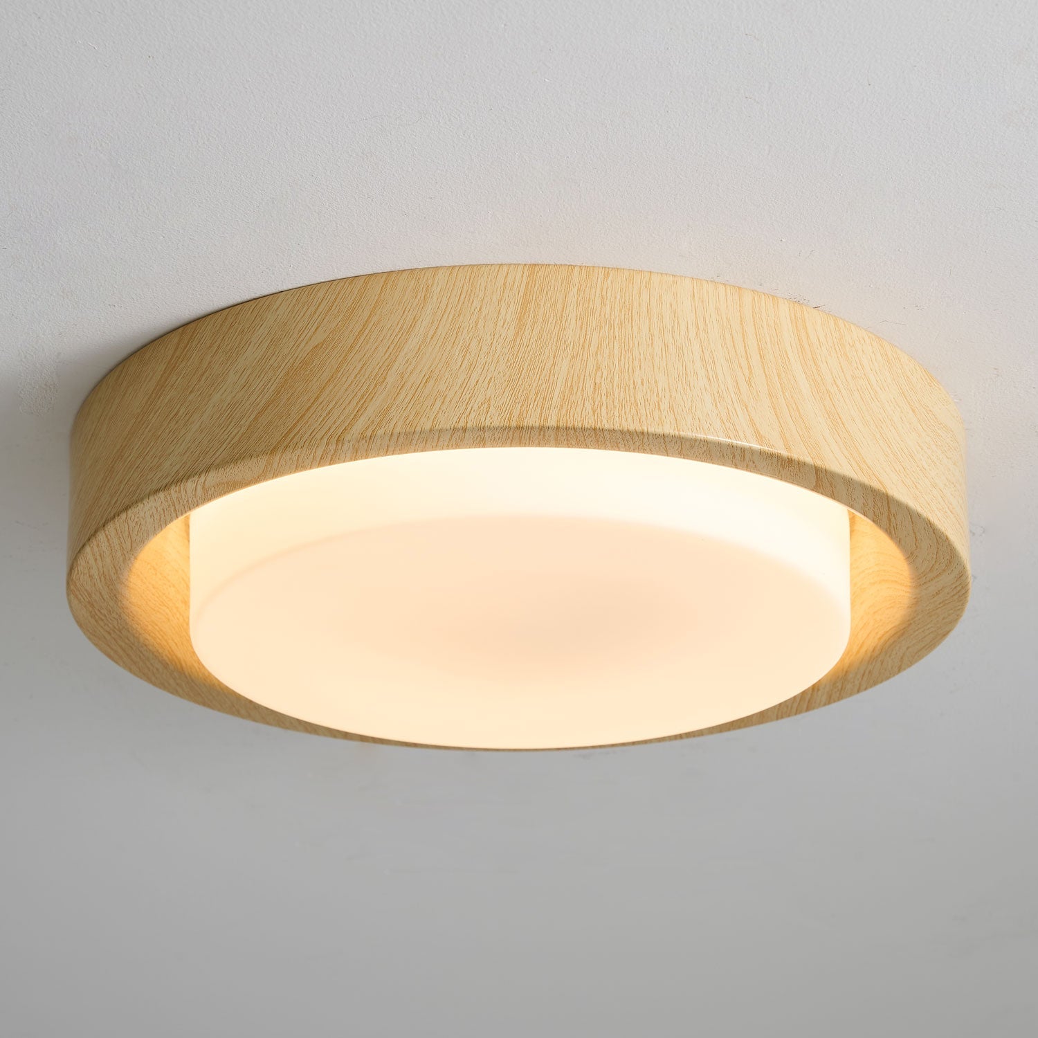 Lumza Ring Shape Ceiling Light