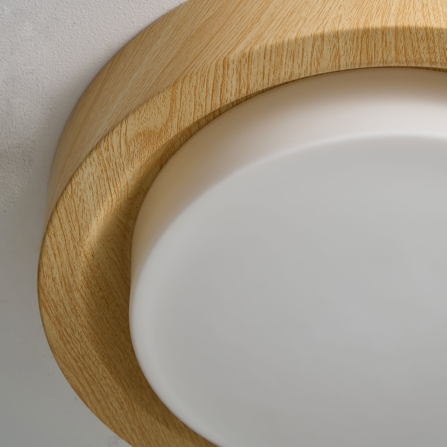 Lumza Ring Shape Ceiling Light